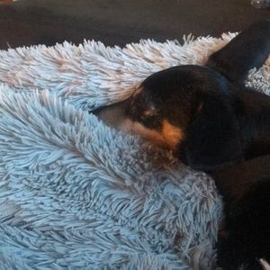 Meet your Posher, Jayme